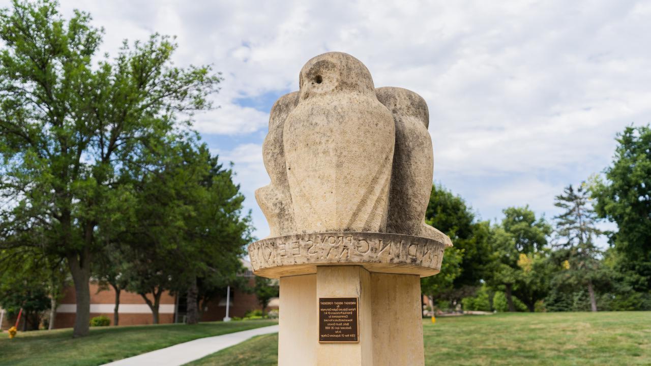 Wisdom Owl Sculpture